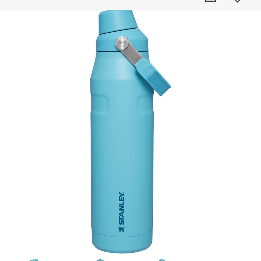 NWT Stanley IceFlow™ Bottle with Fast Flow Lid | 24 OZ in Pool